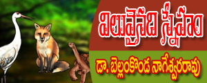 Viluvainadi sneham